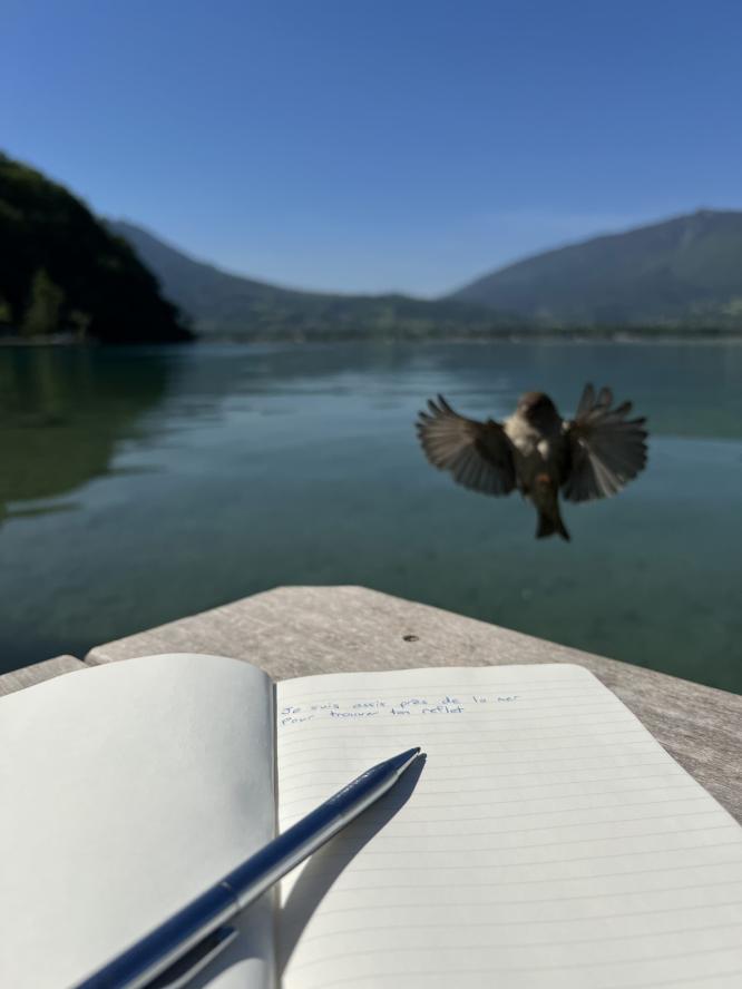 A student writes in a journal on a lake shore in France, while a bird hovers just above the journal