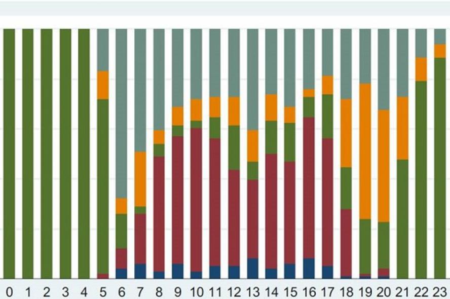 chart of activity over a 24-hour period of rural Ghanian workers