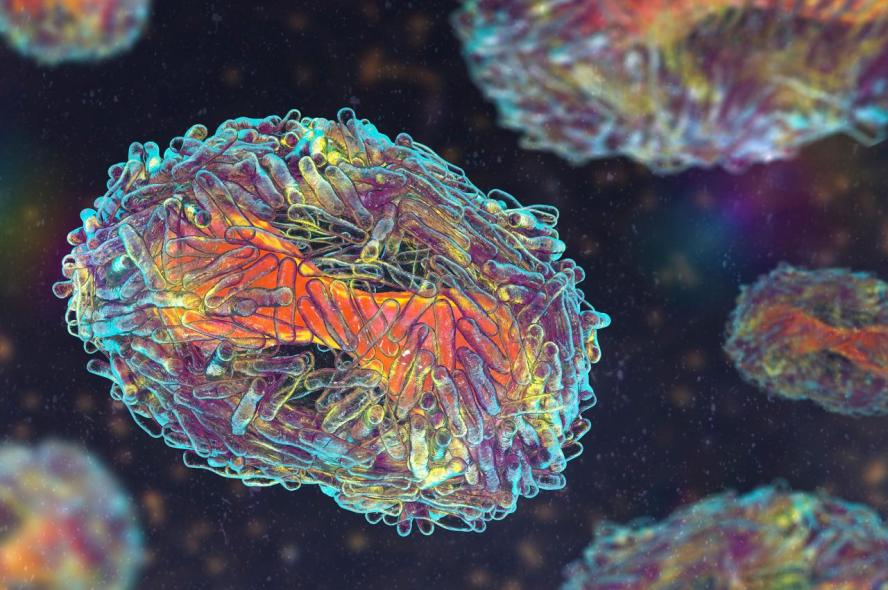 An illustration of the monkeypox virus