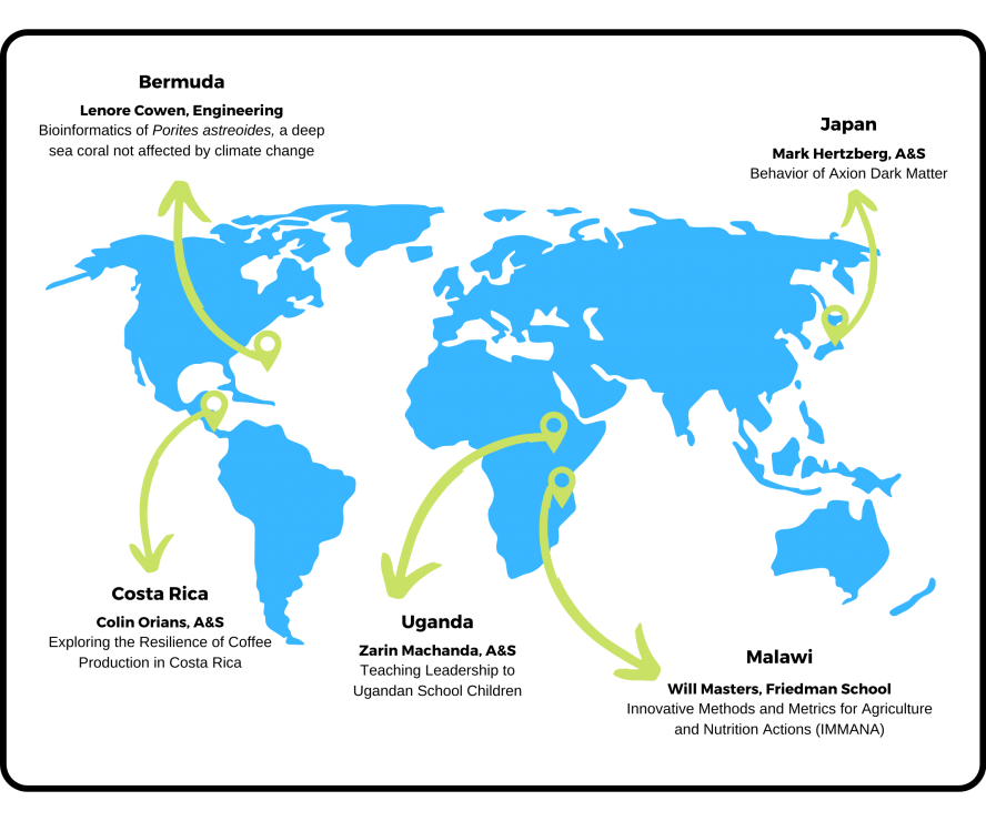 World map showing 2020 GRAP project locations according to primary researcher and their topic.