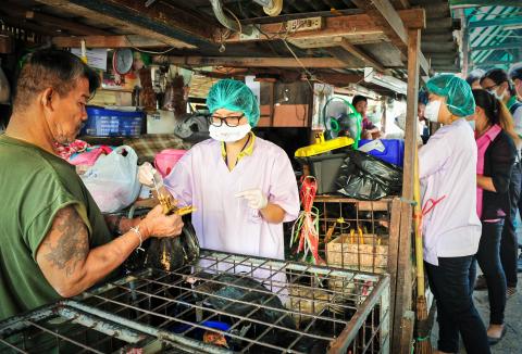 A woman performs a test on a bird in a crowded market. The woman is wearing protective gear, including a mask and head covering.