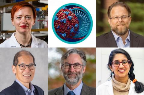 Six-image collage showing five portrait photos surrounding a central circular illustration of a virus, representing infection and immunity research.