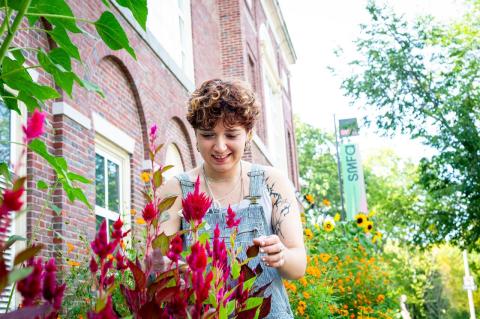 a student in overalls tends to a plant with magenta-colored flowers