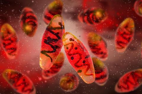 Scientific illustration of Yersinia pestis bacteria