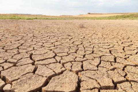 Dry and cracking soil. Tufts scientists say soil, holding 80 percent of Earth’s carbon, releases increasing amounts of greenhouse gases as droughts create negative feedback loops affecting climate change.