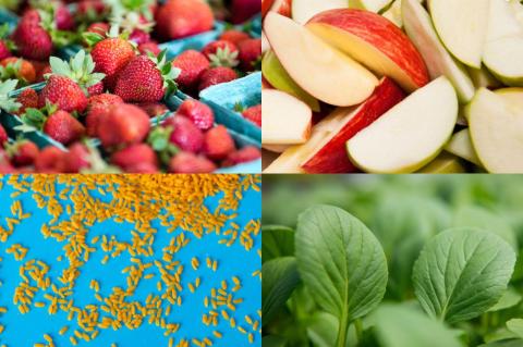 In Healthy Aging, Carb Quality Counts Strawberries, applies, basil, and whole grains