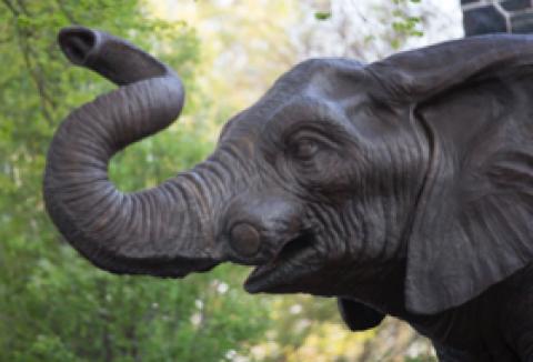 Jumbo
