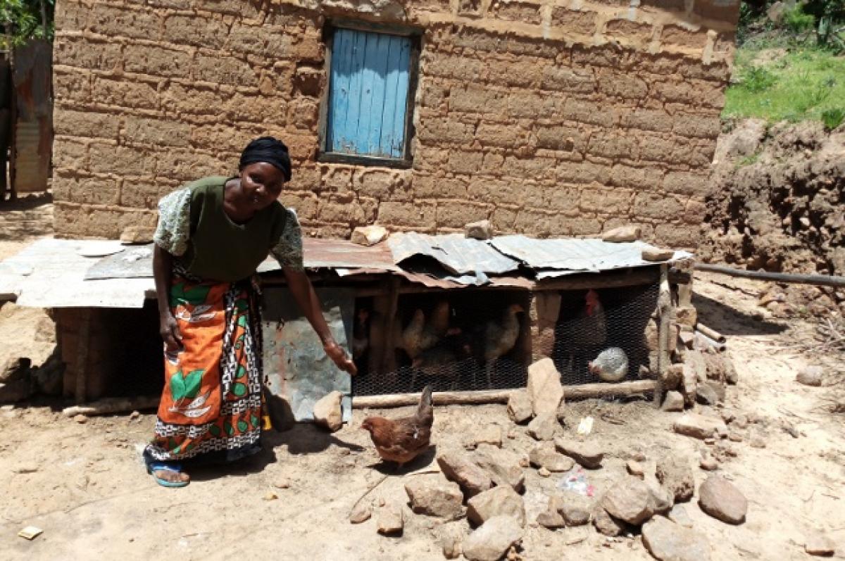 Empowering Women for Better Lives for People and Animals A woman in front of a chicken coop, gesturing to a chicken walking in front of her. Cummings School researchers study how increasing women’s access to livestock vaccines can improve animal and human health and well-being